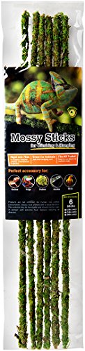 Galapagos Mossy Terrarium Sticks (6 Pack), 18″