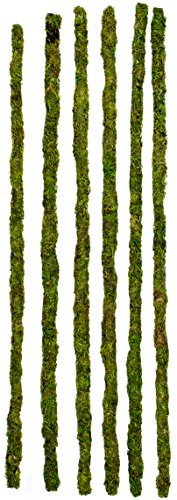 Galapagos Mossy Terrarium Sticks (6 Pack), 32″