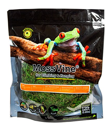 Galápagos (05266) MossVine, Real Moss Vine, Natural, 12FT