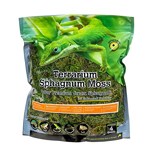 Galápagos (05213) Terrarium Sphagnum Moss, 5-Star Green Sphagnum, Natural, 4QT