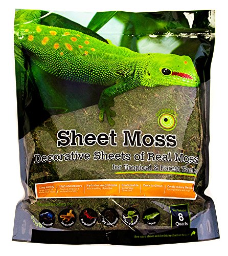 Galapagos 05248 Sheets of Real Moss, 8-Quart, Natural