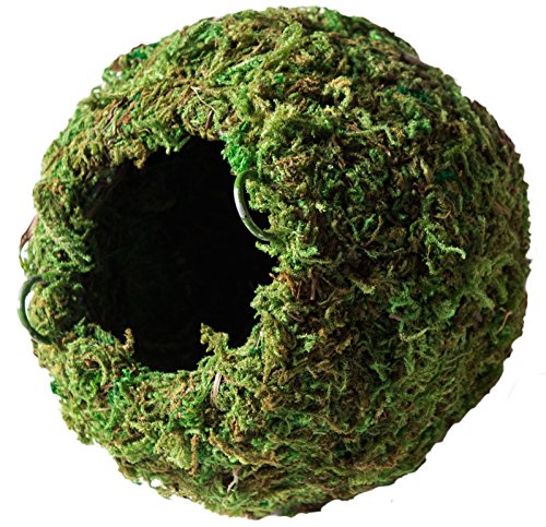 Galapagos Mossy Cave Hide, 4″, Green