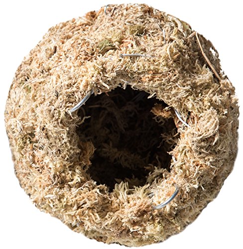 Galapagos Mossy Cave Hide, 4″, Blond Sphagnum