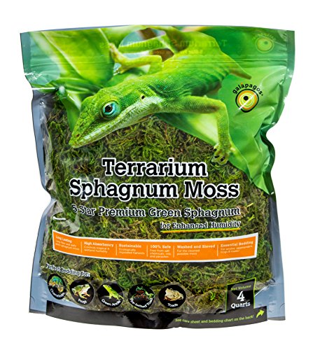 Galápagos (05203) Terrarium Sphagnum Moss, 5-Star Golden Sphagnum, Natural, 1/3 lb