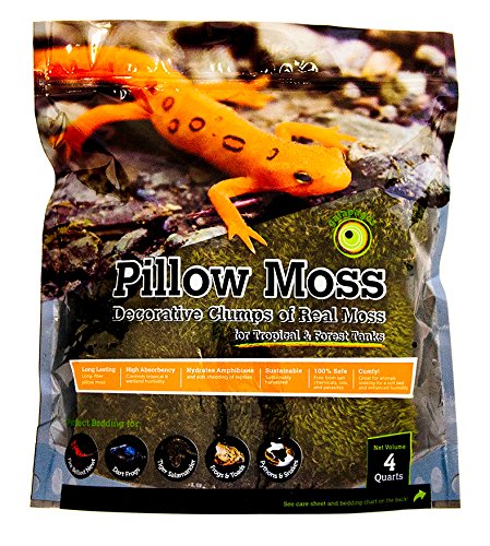 Galápagos (05234) Pillow Moss, Clumps of Real Moss, Natural, 4QT