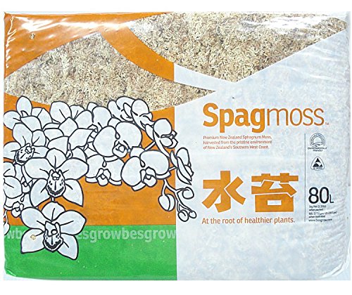 Spagmoss Premium New Zealand Sphagnum Moss Great for Reptiles, Bedding and Terrarium (1 Kilogram)