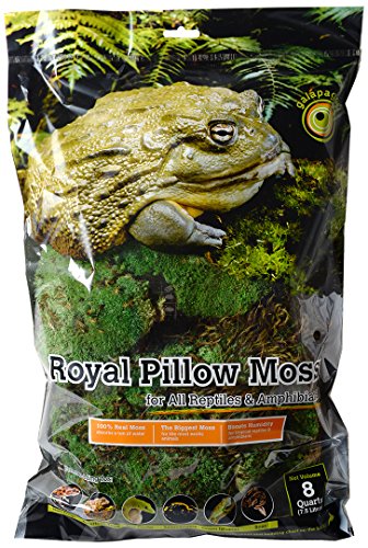 Galapagos (05254) Royal Clumps of Real Pillow, Natural, 8 quart