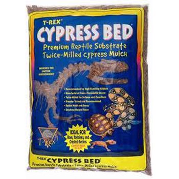 T-Rex Cypress Bed – 10 Qt