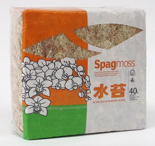 Sphagnum Moss 40 Liters New Zealand Grade AAA Great for Reptiles, Bedding and Terrarium 500 Gram Bale